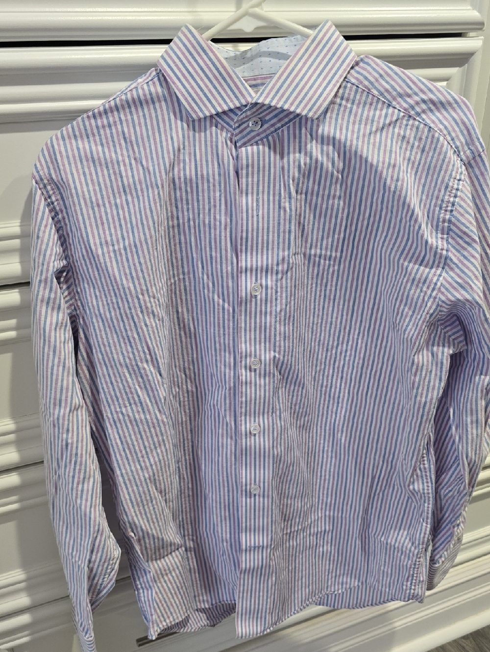Lorenzo Uomo Striped Dress Shirt in Blue and Pink